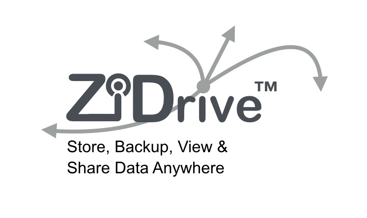 ZiDrive™